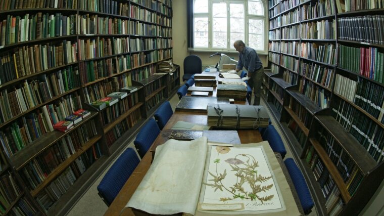 Blick in einen der Bibliotheksräume der Zweigbibliothek Herbarium Haussknecht, Teil der ThULB Jena.